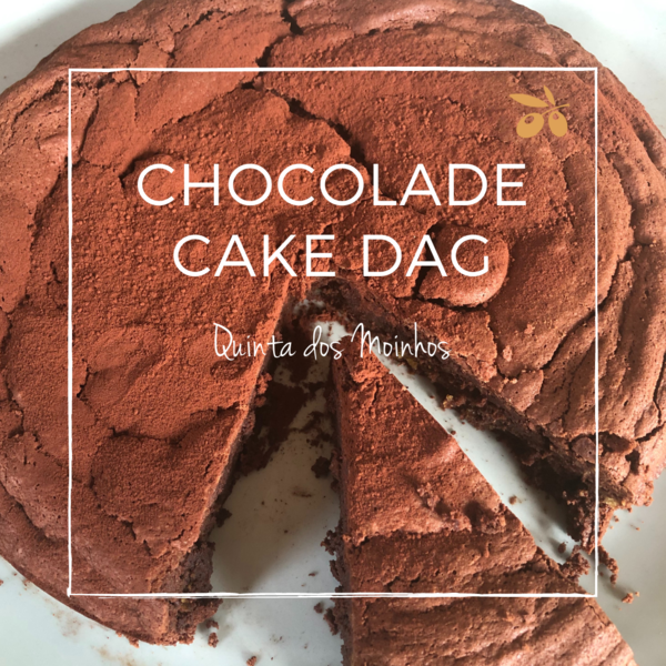 Chocoladeolijfolie cake