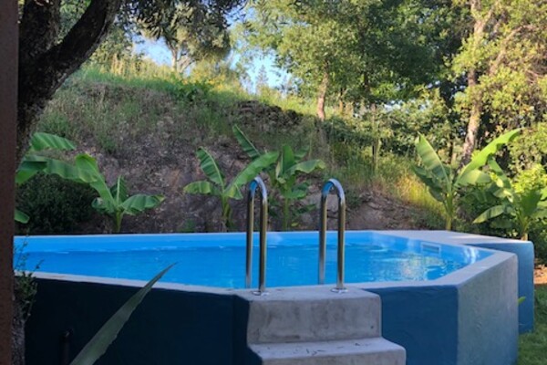 Privat Pool Casa da Oliveira