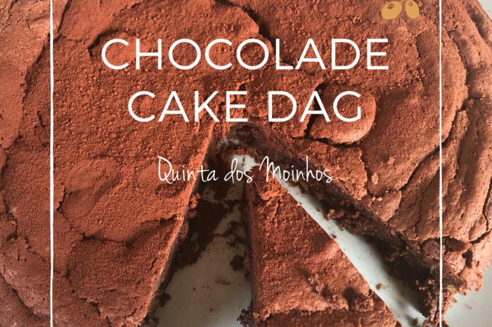 Chocoladecake dag. Jouw dosis gelukshormonen.